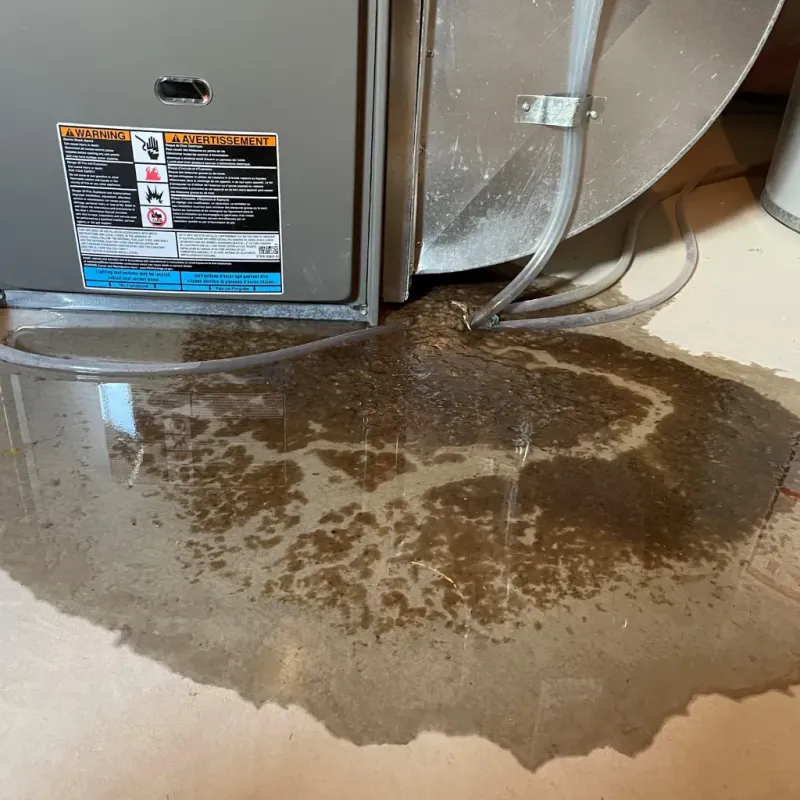 Appliance Leak Cleanup in Hudson, NC